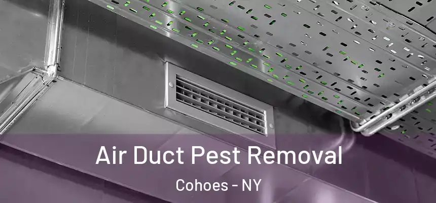  Air Duct Pest Removal Cohoes - NY