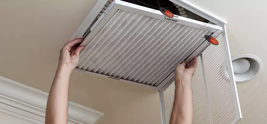 Preventive Cockroach-Proofing for Ducts in Cohoes