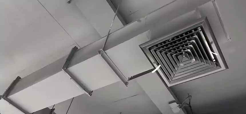 Our Rodent Droppings In Vents Services in Cohoes, NY