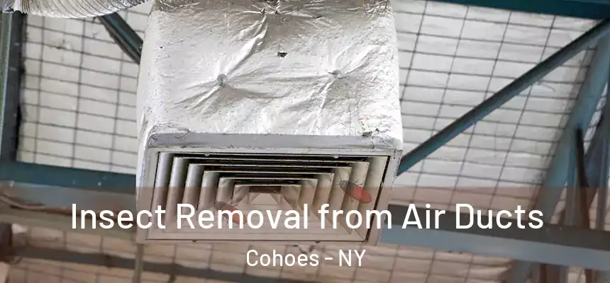  Insect Removal from Air Ducts Cohoes - NY