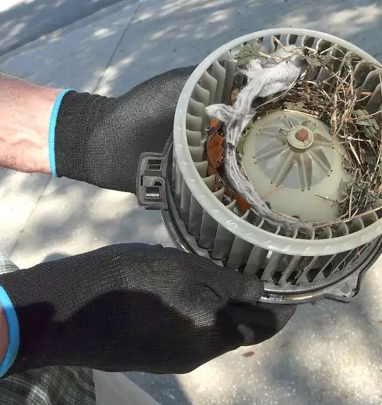 About Air Duct Mice Removal in Cohoes, NY