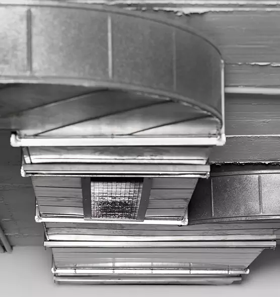 Professional Air Duct Pet Hair Removal in Cohoes, NY