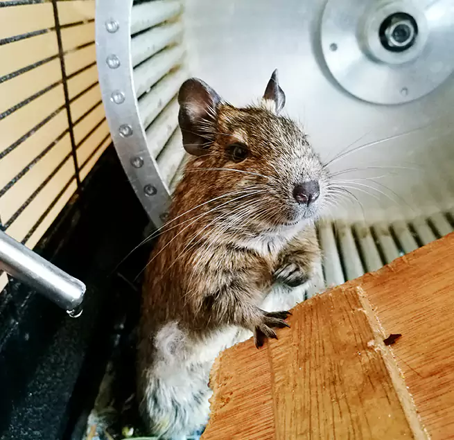 Why Homeowners & Businesses Trust Us Cohoes, NY