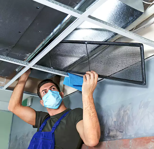 Why Homeowners Businesses Trust Us in Cohoes, NY