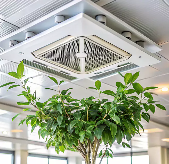 Why Homeowners & Businesses Trust Us in Cohoes, NY