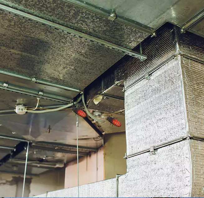 Why Homeowners & Businesses Trust Us Cohoes, NY?