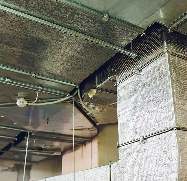 Why Homeowners & Businesses Trust Us in Cohoes, NY?